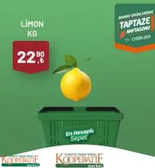 LİMON KG LİMON KG
